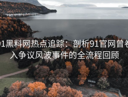 91黑料网热点追踪：剖析91官网曾卷入争议风波事件的全流程回顾