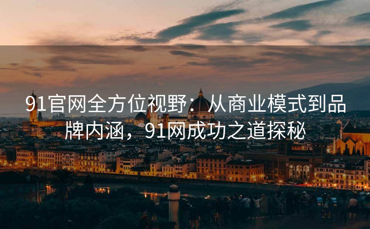 91官网全方位视野：从商业模式到品牌内涵，91网成功之道探秘