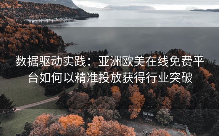 数据驱动实践：亚洲欧美在线免费平台如何以精准投放获得行业突破