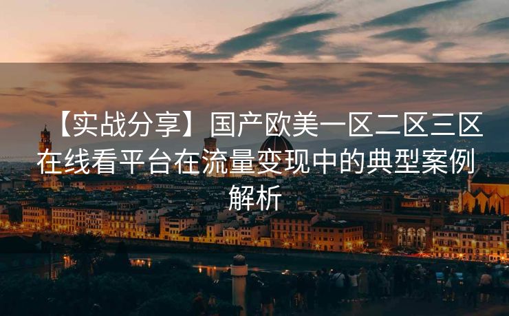 【实战分享】国产欧美一区二区三区在线看平台在流量变现中的典型案例解析