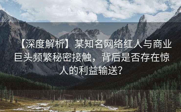 【深度解析】某知名网络红人与商业巨头频繁秘密接触，背后是否存在惊人的利益输送？