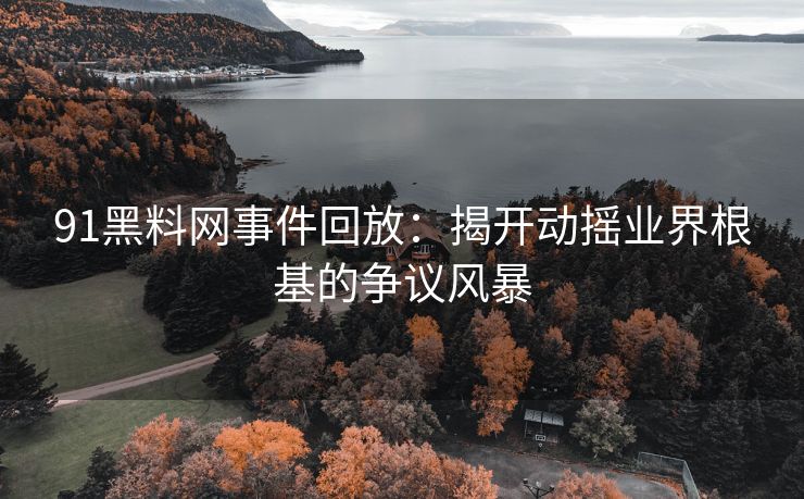 91黑料网事件回放：揭开动摇业界根基的争议风暴