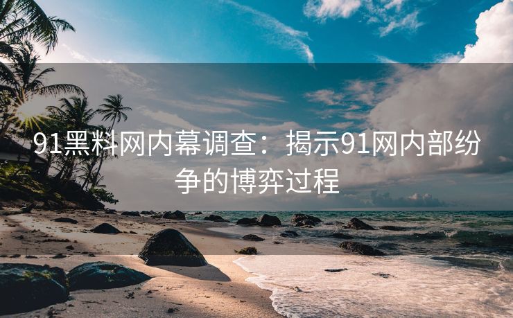 91黑料网内幕调查：揭示91网内部纷争的博弈过程