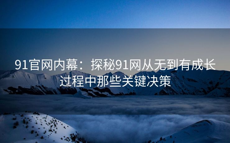 91官网内幕：探秘91网从无到有成长过程中那些关键决策