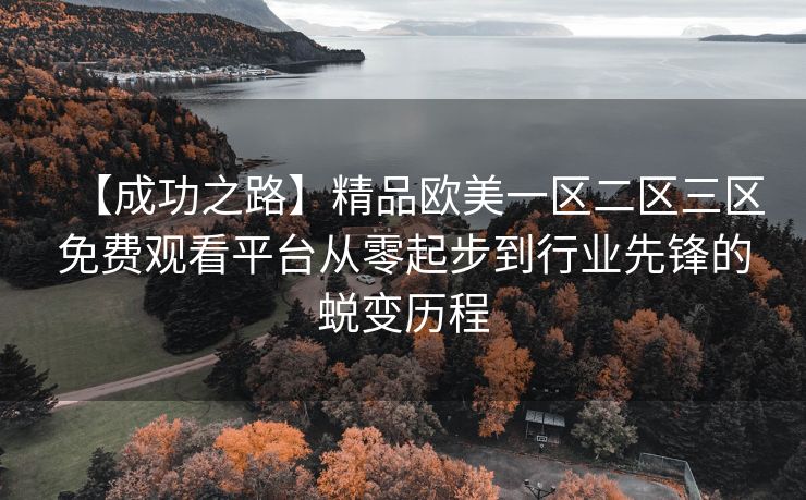 【成功之路】精品欧美一区二区三区免费观看平台从零起步到行业先锋的蜕变历程