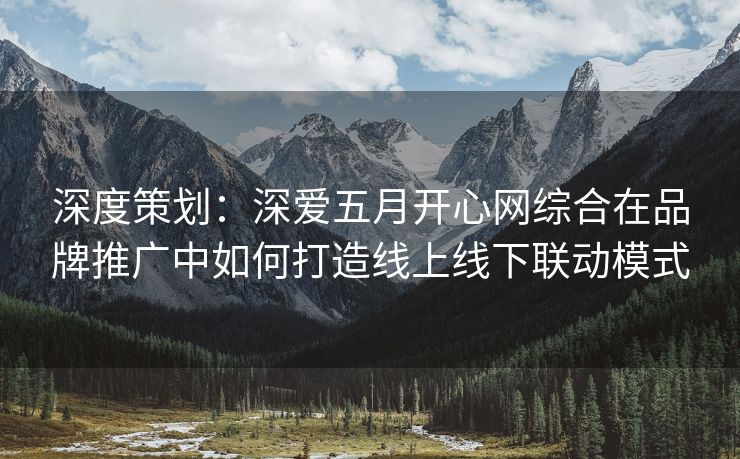 深度策划：深爱五月开心网综合在品牌推广中如何打造线上线下联动模式
