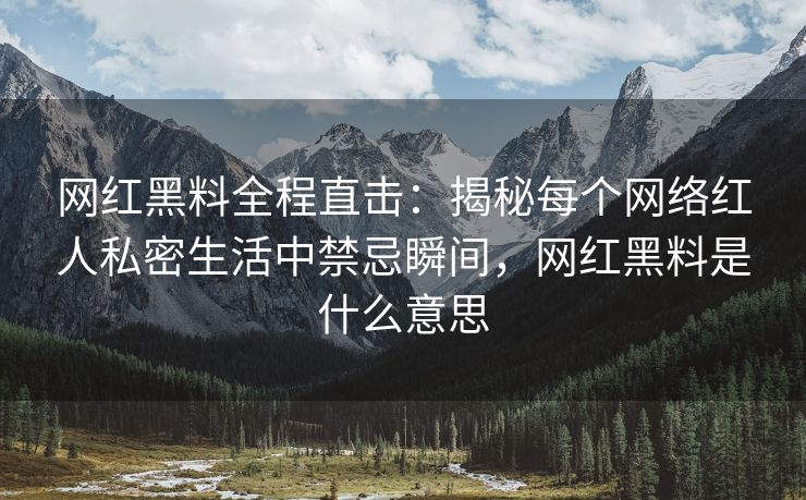 网红黑料全程直击：揭秘每个网络红人私密生活中禁忌瞬间，网红黑料是什么意思