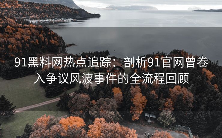 91黑料网热点追踪：剖析91官网曾卷入争议风波事件的全流程回顾