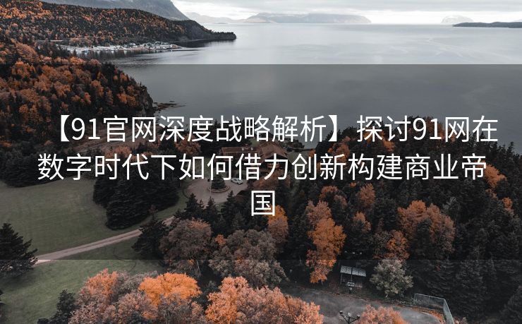 【91官网深度战略解析】探讨91网在数字时代下如何借力创新构建商业帝国