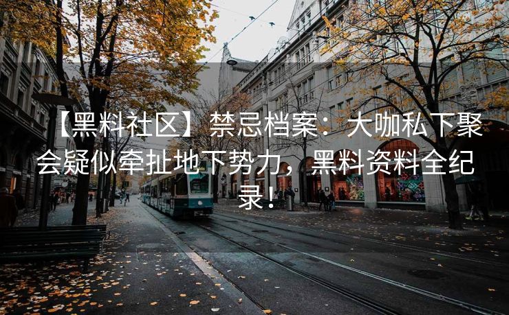 【黑料社区】禁忌档案：大咖私下聚会疑似牵扯地下势力，黑料资料全纪录！