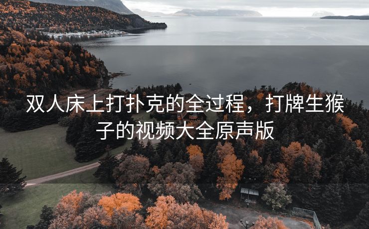 双人床上打扑克的全过程，打牌生猴子的视频大全原声版